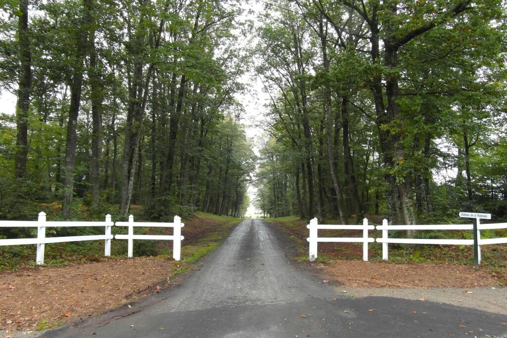 france, trees, road, driveway, fence, picket, summer, nature, outside, country, countryside, green road, driveway, driveway, driveway, driveway, driveway-82239.jpg